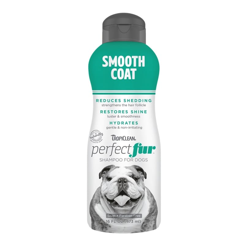 SMOOTH COAT